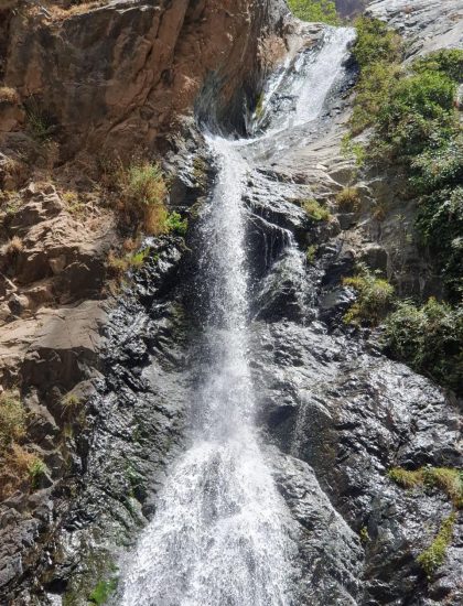 d43d5773-641f-4dc1-8d4d-ff6e57ca97ec