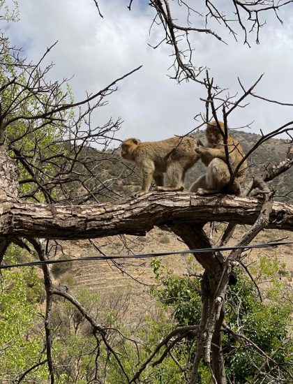 ef468339-edd8-461d-8e67-2132700e69e8